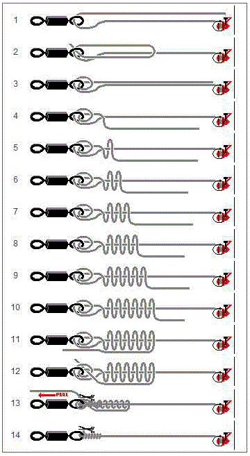 monturi crap - nod-clinched-half-blood.gif